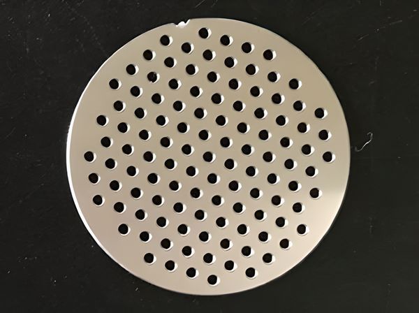 A perforated filter disc has margin and a special gap.